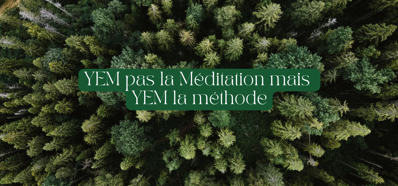 image  YEM pas la méditation mais YEM la méthode